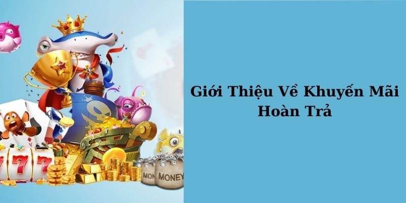 Nguyên tắc cơ bản trong chương trình khuyến mãi hoàn trả Kubet