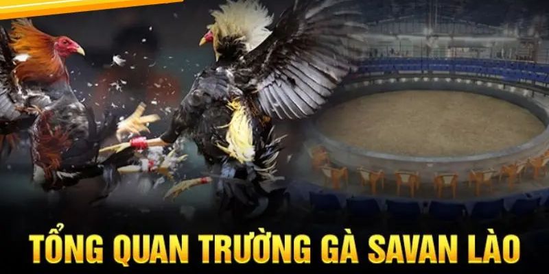 Trường Gà Savan - Cá Cược Mê Say, Rinh Ngay Tiền Tỷ Về Túi